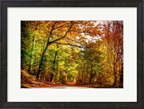 Framed Autumn Pathway Print