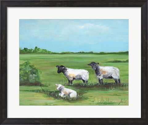 Framed Sheep Trio Print