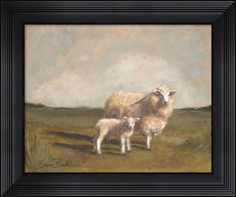 Framed Sheep in the Pasture II Print