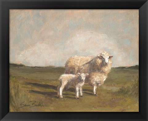 Framed Sheep in the Pasture II Print