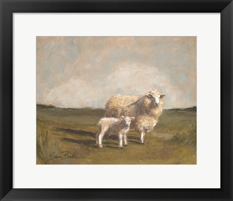 Framed Sheep in the Pasture II Print