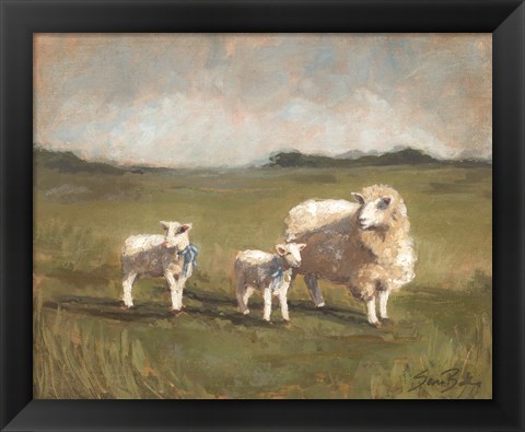 Framed Sheep in the Pasture III Print