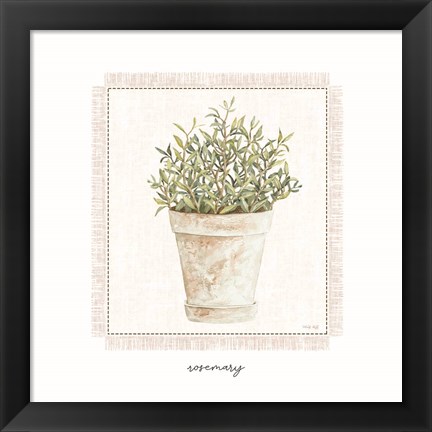 Framed Fresh Rosemary Print