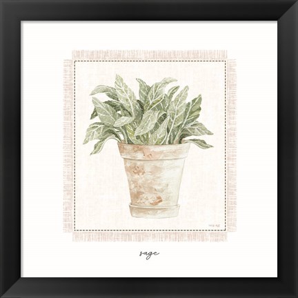 Framed Fresh Sage Print