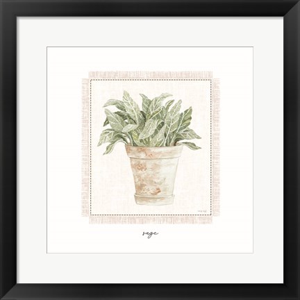Framed Fresh Sage Print
