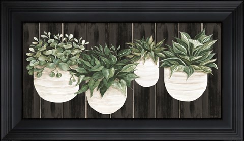 Framed Potted Plants on Barnwood Print