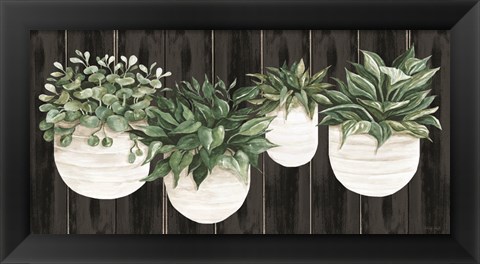 Framed Potted Plants on Barnwood Print