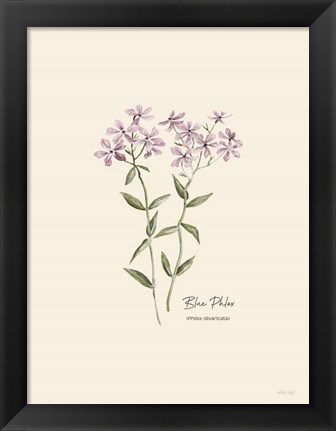 Framed Blue Phlox Print