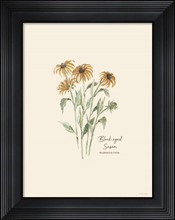 Framed Black Eyed Susan Print