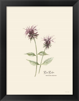 Framed Bee Balm Print