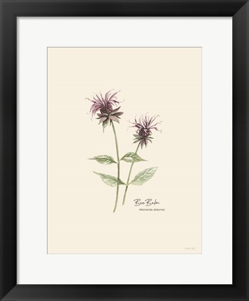 Framed Bee Balm Print