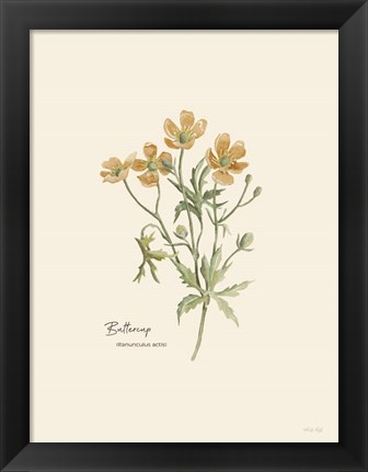 Framed Buttercup Print