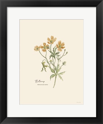 Framed Buttercup Print