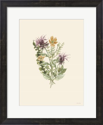Framed Botanical Mix III Print