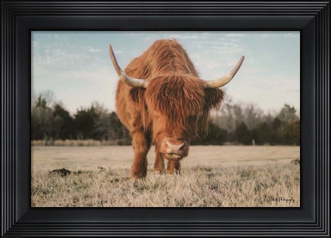 Framed Cow Portrait Print