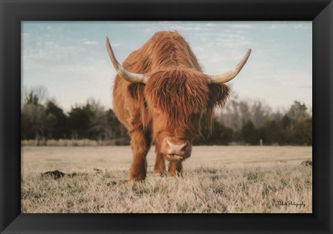 Framed Cow Portrait Print