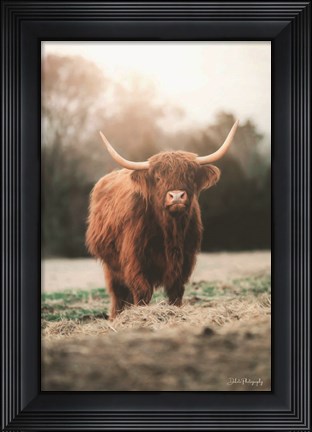 Framed Portrait of a Cow Print