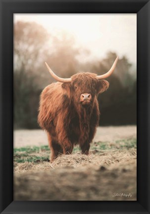 Framed Portrait of a Cow Print