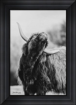 Framed Itchy Cow I Print