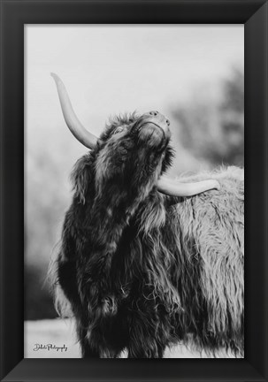 Framed Itchy Cow I Print