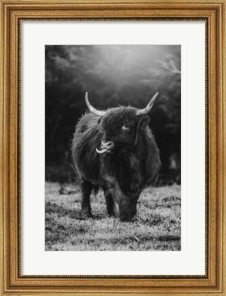 Framed Silly Cow I Print