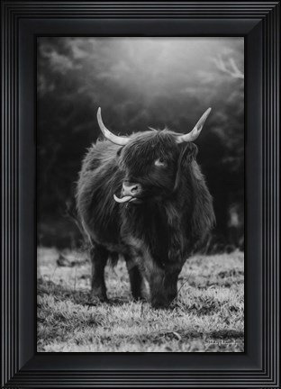 Framed Silly Cow I Print