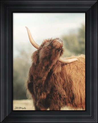Framed Itchy Cow II Print