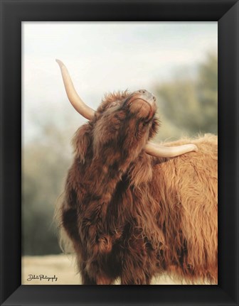 Framed Itchy Cow II Print