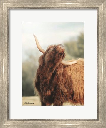 Framed Itchy Cow II Print