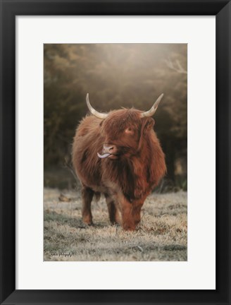 Framed Silly Cow II Print