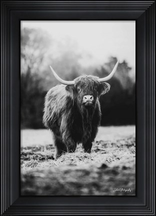 Framed Portrait of a Cow Print