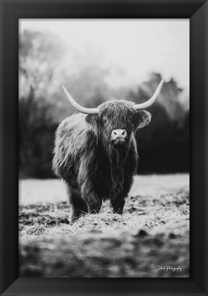 Framed Portrait of a Cow Print