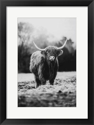 Framed Portrait of a Cow Print