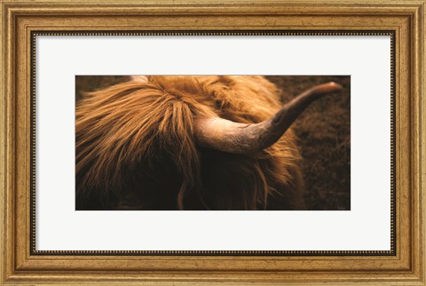Framed Highland Horn III Print