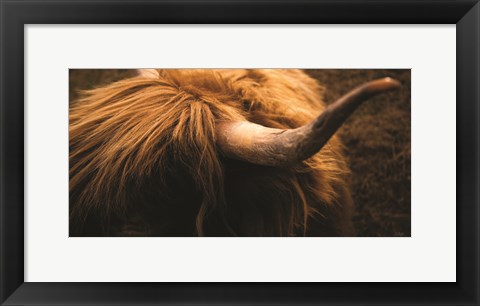 Framed Highland Horn III Print