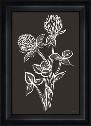 Framed Clover Sketch I Print