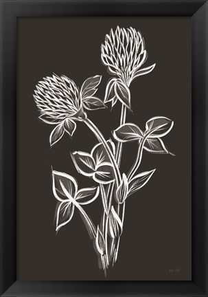 Framed Clover Sketch I Print