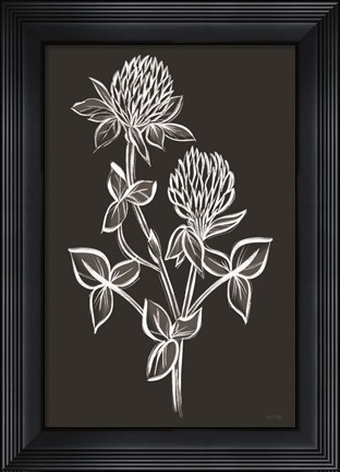 Framed Clover Sketch II Print