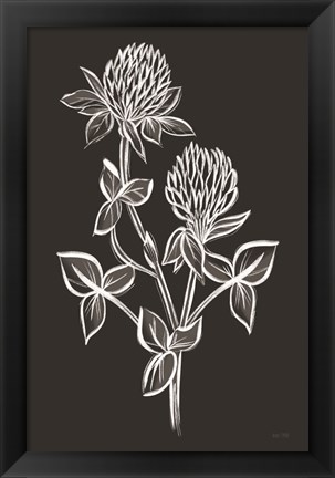 Framed Clover Sketch II Print