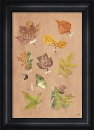 Framed Autumn Leaves Print