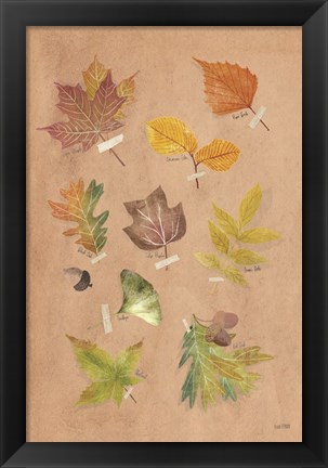 Framed Autumn Leaves Print