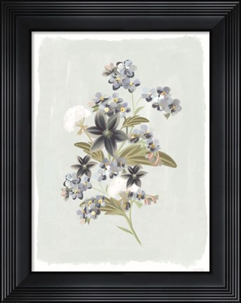 Framed Forget Me Nots Print