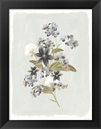 Framed Forget Me Nots Print