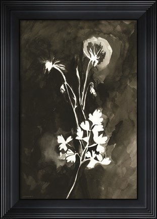 Framed Hanging Out to Dry Print
