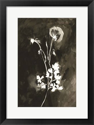 Framed Hanging Out to Dry Print