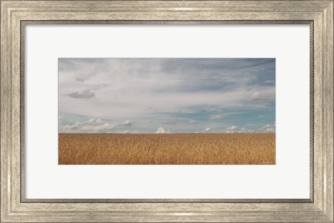 Framed Golden Summer Field Print