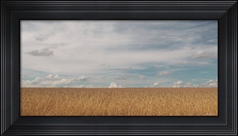 Framed Golden Summer Field Print