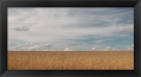 Framed Golden Summer Field Print