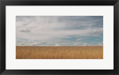 Framed Golden Summer Field Print