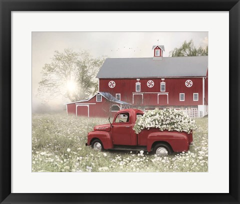 Framed Red and White Delight Print